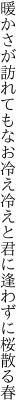 暖かさが訪れてもなお冷え冷えと 君に逢わずに桜散る春