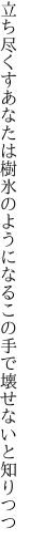 立ち尽くすあなたは樹氷のようになる この手で壊せないと知りつつ