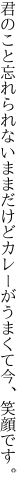 君のこと忘れられないままだけど カレーがうまくて今、笑顔です。