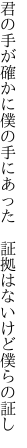 君の手が確かに僕の手にあった　 証拠はないけど僕らの証し