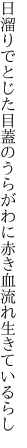 日溜りでとじた目蓋のうらがわに 赤き血流れ生きているらし