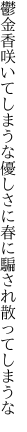 鬱金香咲いてしまうな優しさに 春に騙され散ってしまうな