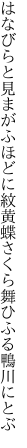 はなびらと見まがふほどに紋黄蝶 さくら舞ひふる鴨川にとぶ