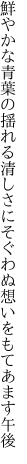 鮮やかな青葉の揺れる清しさに そぐわぬ想いをもてあます午後