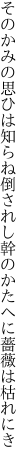 そのかみの思ひは知らね倒されし 幹のかたへに薔薇は枯れにき