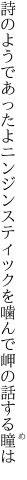 詩のようであったよニンジンスティックを 噛んで岬の話する瞳は