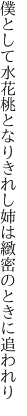 僕として水花桃となりきれし 姉は緻密のときに追われり