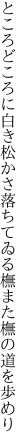 ところどころに白き松かさ落ちてゐる 橅また橅の道を歩めり