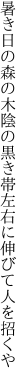 暑き日の森の木陰の黒き帯 左右に伸びて人を招くや