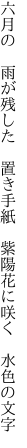 六月の 雨が残した 置き手紙  紫陽花に咲く 水色の文字