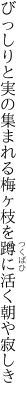 びっしりと実の集まれる梅ヶ枝を 蹲に活く朝や寂しき