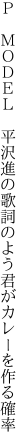 Ｐ ＭＯＤＥＬ　平沢進の歌詞のよう 君がカレーを作る確率