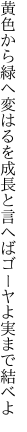 黄色から緑へ変はるを成長と 言へばゴーヤよ実まで結べよ