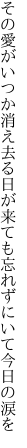 その愛がいつか消え去る日が来ても 忘れずにいて今日の涙を