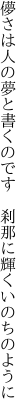 儚さは人の夢と書くのです　 刹那に輝くいのちのように