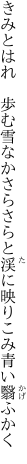 きみとはれ　歩む雪なかさらさらと 渓に映りこみ青い翳ふかく