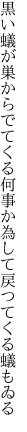 黒い蟻が巣からでてくる何事か 為して戻つてくる蟻もゐる