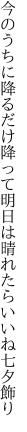 今のうちに降るだけ降って明日は 晴れたらいいね七夕飾り