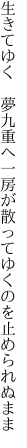 生きてゆく　夢九重へ一房が 散ってゆくのを止められぬまま