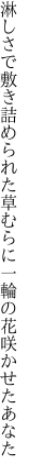 淋しさで敷き詰められた草むらに 一輪の花咲かせたあなた