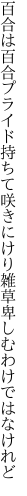 百合は百合プライド持ちて咲きにけり 雑草卑しむわけではなけれど