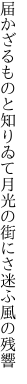 届かざるものと知りゐて月光の 街にさ迷ふ風の残響