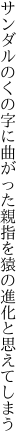 サンダルのくの字に曲がった親指を 猿の進化と思えてしまう