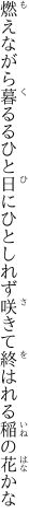 燃えながら暮るるひと日にひとしれず 咲きて終はれる稲の花かな