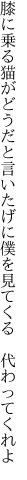 膝に乗る猫がどうだと言いたげに 僕を見てくる　代わってくれよ