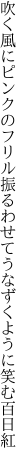 吹く風にピンクのフリル振るわせて うなずくように笑む百日紅