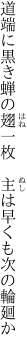 道端に黒き蝉の翅一枚 　主は早くも次の輪廻か