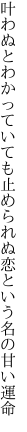 叶わぬとわかっていても止められぬ 恋という名の甘い運命