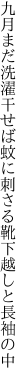 九月まだ洗濯干せば蚊に刺さる 靴下越しと長袖の中