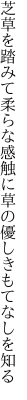 芝草を踏みて柔らな感触に 草の優しきもてなしを知る