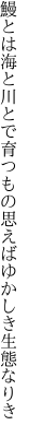 鰻とは海と川とで育つもの 思えばゆかしき生態なりき