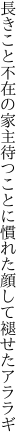 長きこと不在の家主待つことに 慣れた顔して褪せたアララギ