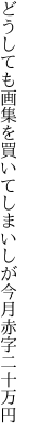 どうしても画集を買いてしまいしが 今月赤字二十万円