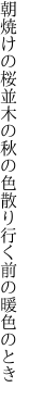 朝焼けの桜並木の秋の色 散り行く前の暖色のとき