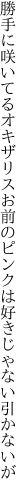 勝手に咲いてるオキザリスお前の ピンクは好きじゃない引かないが