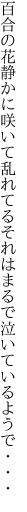 百合の花静かに咲いて乱れてる それはまるで泣いているようで・・・