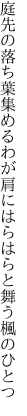 庭先の落ち葉集めるわが肩に はらはらと舞う楓のひとつ