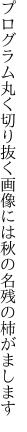 プログラム丸く切り抜く画像には 秋の名残の柿がまします