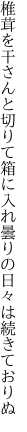 椎茸を干さんと切りて箱に入れ 曇りの日々は続きておりぬ