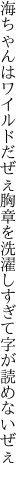 海ちゃんはワイルドだぜぇ胸章を 洗濯しすぎて字が読めないぜぇ