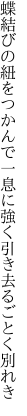 蝶結びの紐をつかんで一息に 強く引き去るごとく別れき