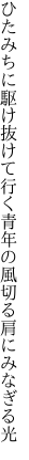 ひたみちに駆け抜けて行く青年の 風切る肩にみなぎる光