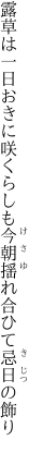 露草は一日おきに咲くらしも 今朝揺れ合ひて忌日の飾り