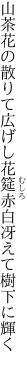 山茶花の散りて広げし花筵 赤白冴えて樹下に輝く