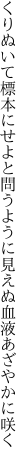 くりぬいて標本にせよと問うように 見えぬ血液あざやかに咲く