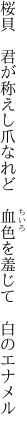 桜貝 君が称えし爪なれど  血色を羞じて 白のエナメル 